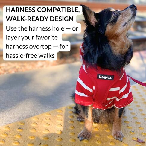 DJANGO Dog Hoodie - Soft, Stretchy, & Cozy Sweatshirts for Dogs - Black Winter Dog Sweaters for Dachshunds and Small Dogs - Machine Washable Hoodie for Dogs with Elastic Waistband and Harness Hole in Kuwait