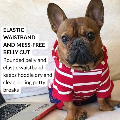 DJANGO Dog Hoodie - Soft, Stretchy, & Cozy Sweatshirts for Dogs - Black Winter Dog Sweaters for Dachshunds and Small Dogs - Machine Washable Hoodie for Dogs with Elastic Waistband and Harness Hole in Kuwait