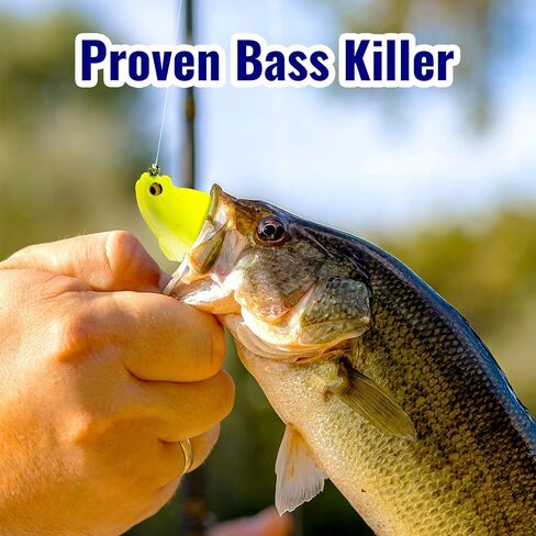 Soft Fishing Lures 5pcs Kit with Tackle Box Weedless Paddle Tail Swimbaits for Bass Trout Crappie Walleye Freshwater Saltwater Life Like Action Durable Plastic Sharp Hooks in Kuwait