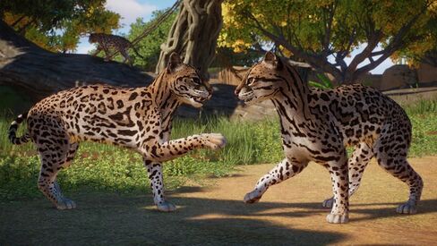 Planet Zoo: America's Animal Pack Standard - PC Steam [Online Game Code] in Saudi Arabia
