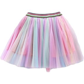 Rainbow Girls Ballet Skirt