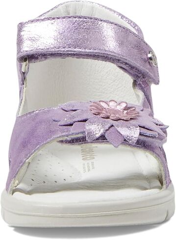 Naturino Girl's Falcotto Tasha Sandal in Saudi Arabia