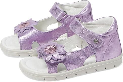 Naturino Girl's Falcotto Tasha Sandal in Saudi Arabia