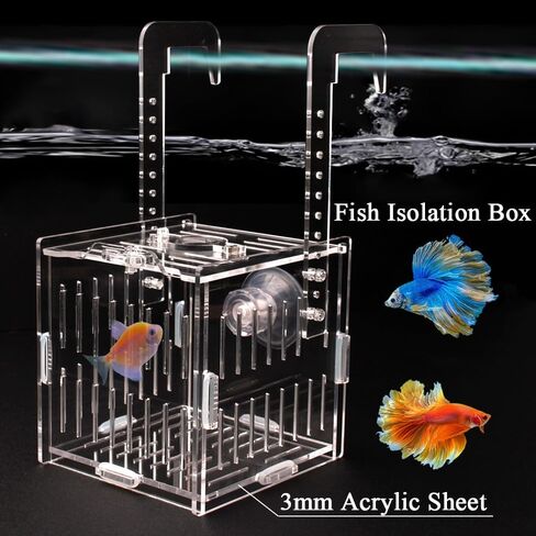 JHCYULUO Acrylic Fish Breeding Box Fish Isolation Box Aquarium Divider Hatchery Incubator Breeder Box for Fish Tank Small Fish Shrimp Clownfish (8x4.5x4.5inch) in Saudi Arabia