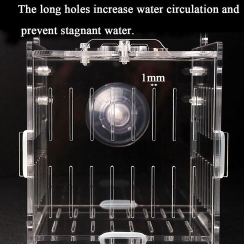JHCYULUO Acrylic Fish Breeding Box Fish Isolation Box Aquarium Divider Hatchery Incubator Breeder Box for Fish Tank Small Fish Shrimp Clownfish (8x4.5x4.5inch) in Saudi Arabia