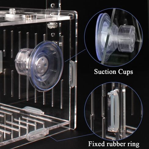 JHCYULUO Acrylic Fish Breeding Box Fish Isolation Box Aquarium Divider Hatchery Incubator Breeder Box for Fish Tank Small Fish Shrimp Clownfish (8x4.5x4.5inch) in Saudi Arabia