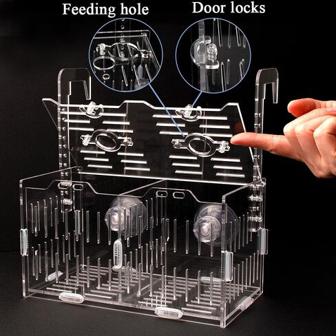 JHCYULUO Acrylic Fish Breeding Box Fish Isolation Box Aquarium Divider Hatchery Incubator Breeder Box for Fish Tank Small Fish Shrimp Clownfish (8x4.5x4.5inch) in Saudi Arabia