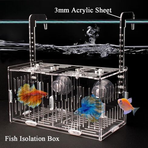 JHCYULUO Acrylic Fish Breeding Box Fish Isolation Box Aquarium Divider Hatchery Incubator Breeder Box for Fish Tank Small Fish Shrimp Clownfish (8x4.5x4.5inch) in Saudi Arabia