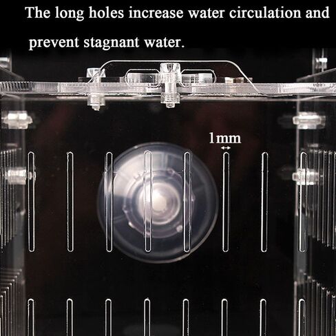 JHCYULUO Acrylic Fish Breeding Box Fish Isolation Box Aquarium Divider Hatchery Incubator Breeder Box for Fish Tank Small Fish Shrimp Clownfish (8x4.5x4.5inch) in Saudi Arabia