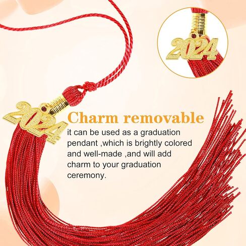 12 Pieces 2024 Charm Graduation Charms 2024 Tassel Charm 2024 Graduation Pendant Gold Charms for Graduation Cap Tassel 2024 Number Charms for Jewelry Making (Gold) in Saudi Arabia
