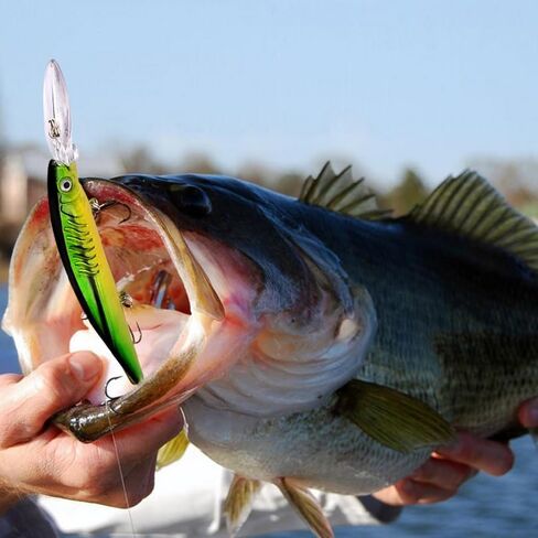5pcs Hard Minnow Swimbait Baits, Artificial Minnow Fishing Lures, Lifelike Lures Vibrating, with Hook for Trout Bass Salmon Freshwater Saltwater in Saudi Arabia