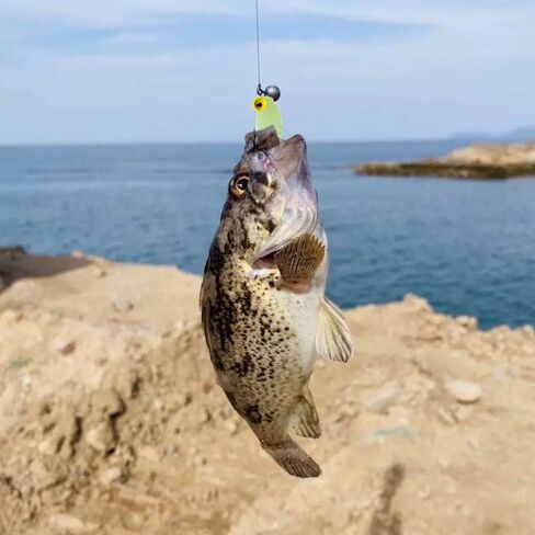 50 قطعة من طُعم الصيد البلاستيكية الناعمة المتوهجة في الظلام باللون الأخضر الداكن، طعم متوهج واقعي للباس والكرابي والعين المحفظة، مثالية لصيد الأسماك على الجليد والصيد الليلي in Saudi Arabia