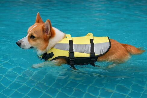 Amazon Basics Dog Adjustable Life Jacket with Reflective Stripes, Yellow, Small in Kuwait