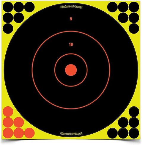BIRCHWOOD CASEY Shoot-N-C 12" Bull's-Eye Reactive Targets - Highly Visible Instant Feedback Self-Adhesive Shooting Targets with Repair Pasters - for All Guns & Calibers in Saudi Arabia