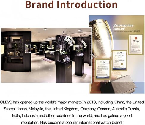 OLEVS Inexpensive Watches Women Analog Quartz Business Watch Stainless Steel Classic Waterproof Watches Unique Calendar Date Window Wrist Watch in Saudi Arabia