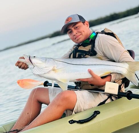 A.M. Fishing Curly Tail Jerkshad 4 Inch Soft Baits Garlic Infused,– 8 Pack – Saltwater & Freshwater Fishing Lures for Bass, Redfish, Snook, and Trout in Saudi Arabia
