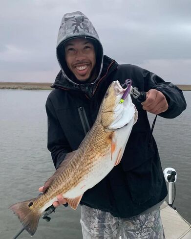 A.M. Fishing Curly Tail Jerkshad 4 Inch Soft Baits Garlic Infused,– 8 Pack – Saltwater & Freshwater Fishing Lures for Bass, Redfish, Snook, and Trout in Saudi Arabia