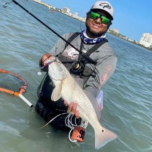 A.M. Fishing Curly Tail Jerkshad 4 Inch Soft Baits Garlic Infused,– 8 Pack – Saltwater & Freshwater Fishing Lures for Bass, Redfish, Snook, and Trout in Saudi Arabia