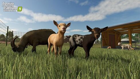 Farming Simulator 25 Standard - PC Steam [رمز اللعبة على الإنترنت] in Saudi Arabia