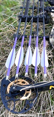 Arrow Wraps | Cut for Micro Diameter Archery Shafts | 4MM / 0.166 Inch ID Arrows with Max Outside Diameter (OD) of 0.255 Inches | Length 6 Inches in Saudi Arabia