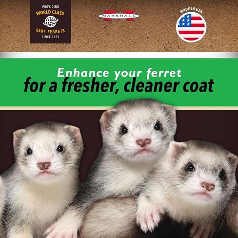 Marshall 41683 Goodbye Odor Semi-Moist Treats for Ferrets, 2.5 oz in Saudi Arabia