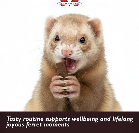 Marshall 41683 Goodbye Odor Semi-Moist Treats for Ferrets, 2.5 oz in Saudi Arabia