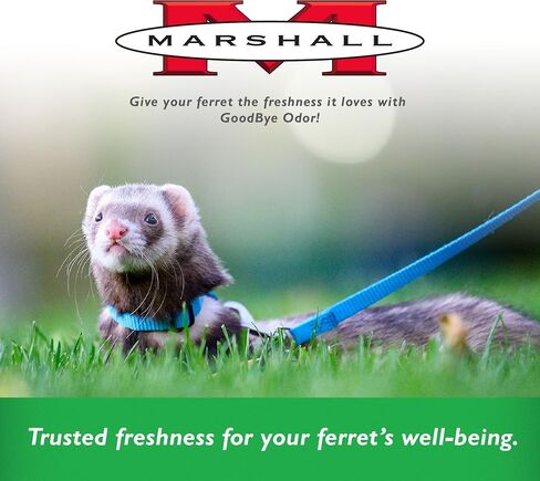 Marshall 41683 Goodbye Odor Semi-Moist Treats for Ferrets, 2.5 oz in Saudi Arabia