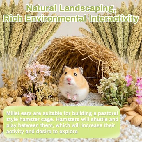 Sukh Herb Bedding Habitat Decor - Natural Flower Habitat Decor Natural Hamster Bedding Mate Natural Hamster Sprays Hamster Cage Decor for Guinea Pig,Dwarf Hamster,Golden Bears Or Other Small Pets in Kuwait