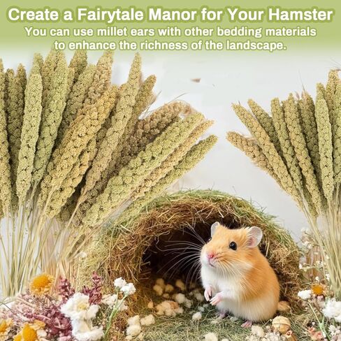 Sukh Herb Bedding Habitat Decor - Natural Flower Habitat Decor Natural Hamster Bedding Mate Natural Hamster Sprays Hamster Cage Decor for Guinea Pig,Dwarf Hamster,Golden Bears Or Other Small Pets in Kuwait