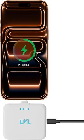 Spark Portable Charger for iPhone 17/16/15 USB C 2500mAh Power Bank with LED Indicators 2.4A Fast Charging Mini Portable Charger with Pass Through Technology LVL 25 (Black) in Saudi Arabia