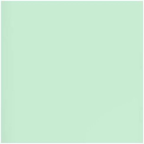 Lee Filters Steel Green 24x21" Gel Filter Sheet in Saudi Arabia