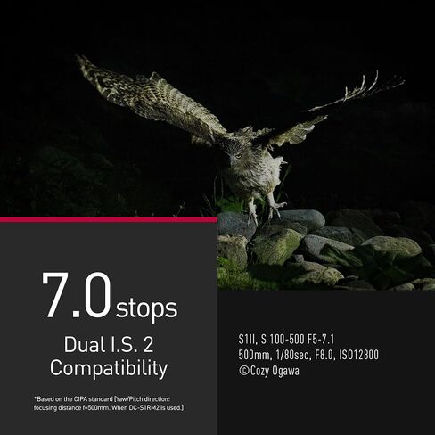 عدسة باناسونيك LUMIX S Series 100-500 ملم F5-F7.1 Ultra Telephoto على شكل حرف L - S-R100500 in Saudi Arabia