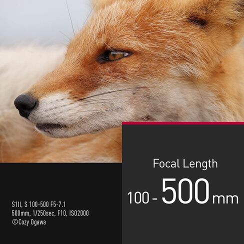 عدسة باناسونيك LUMIX S Series 100-500 ملم F5-F7.1 Ultra Telephoto على شكل حرف L - S-R100500 in Saudi Arabia