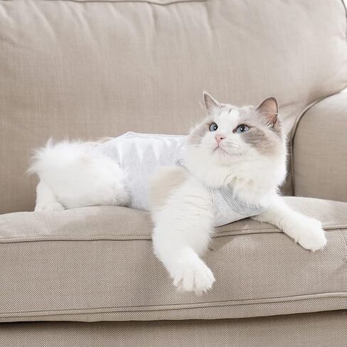 DOTON Cat Recovery Suit for Male and Female Surgical Post Surgery Soft Cone Onesie Shirt Clothes Neuter Licking Protective Diapers Outfit Cover Kitten Spay Collar(S, Purple) in Saudi Arabia