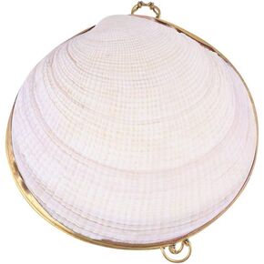 Shell Jewelry Box Shell Trinket Box Earring Necklace Ring Organizer Box for Girls Women Birthday Christamas Gift