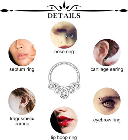 FLYEMMET Hypoallergenic Nose Rings 20G 18G 16G 316l Surgical Steel Septum Jewelry Hinged Segment Ring Body Piercing Nose Hoop Lip Rings Nose Helix Cartilage Rook Earrings in Kuwait