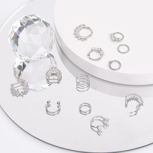 FLYEMMET Hypoallergenic Nose Rings 20G 18G 16G 316l Surgical Steel Septum Jewelry Hinged Segment Ring Body Piercing Nose Hoop Lip Rings Nose Helix Cartilage Rook Earrings in Kuwait