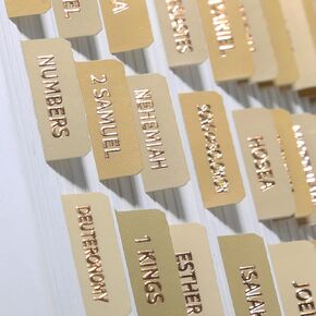 Laminated Bible Tabs (Gold Foil Stamped Lettering), Bible Journaling Supplies, Bible Book Tabs, Christian Gift, 66 Bible Tabs Old and New Testament, Including 24 Blank Tabs (Neutral)