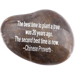 Holy Land Market Engraved Inspirational Stones collection - Stone V : THE BEST TIME TO PLANT A TREE WAS 20 YEARS AGO. THE SECOND BEST TIME IS NOW. CHINESE PROVERB