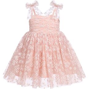 Christening Dresses for Baby Girl, Daisy Costume Babies 1st Half Birthday Cake Smash Sequin Tulle Tutu Princess Bowknot Sleeveless Smoked Dresses for Kids Newborn Photographs Daisy Pink 3-4T