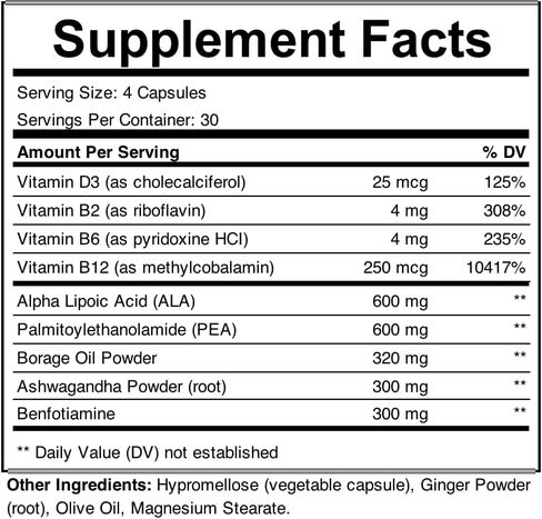 Nervitalize Advanced Nerve Support Formula - Comprehensive 9-in-1 Blend with Alpha Lipoic Acid, Pea, Ashwagandha, Vitamins B Complex & D, Antioxidant-Rich, 120 Capsules in Saudi Arabia