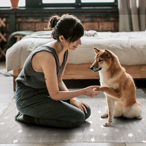 ARGOPET Dog Cooling Blanket 41 * 30inch Lightweight Self Cooling Blanket Bed Cover for Dog Cat Summer Blanket &Ice Silk Cooling Pet Blanket Throw Blanket for Kennel Sofa in Saudi Arabia