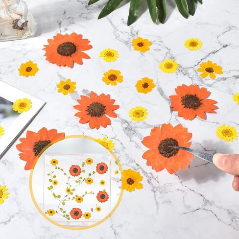 HAIOPS 72PCS Dried Sunflowers Pressed Daisy Flowers for Resin, Real Natural Flowers for Crafts DIY Jewelry Scrapbooking Facial Decoration in Kuwait
