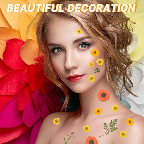 HAIOPS 72PCS Dried Sunflowers Pressed Daisy Flowers for Resin, Real Natural Flowers for Crafts DIY Jewelry Scrapbooking Facial Decoration in Kuwait