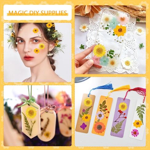 HAIOPS 72PCS Dried Sunflowers Pressed Daisy Flowers for Resin, Real Natural Flowers for Crafts DIY Jewelry Scrapbooking Facial Decoration in Kuwait