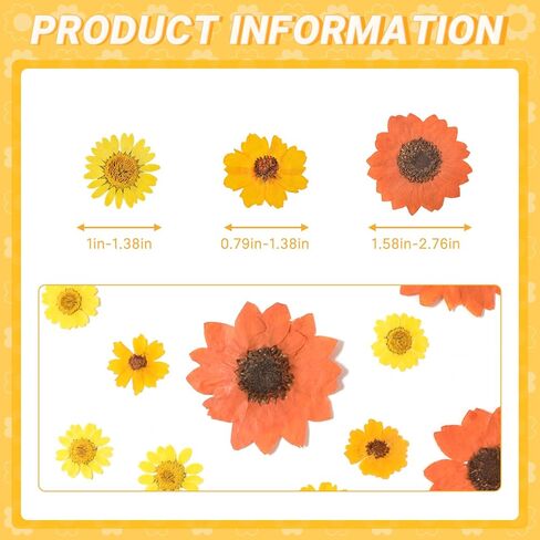 HAIOPS 72PCS Dried Sunflowers Pressed Daisy Flowers for Resin, Real Natural Flowers for Crafts DIY Jewelry Scrapbooking Facial Decoration in Kuwait