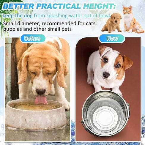 Hicarer 12 Pcs Stainless Steel Pet Bucket 1.5 Quart Heavy Duty Stainless Steel Pails Small Metal Bucket with Handles for PET Cat Puppy Food and Water Storage Milking Goats Small Animals in Saudi Arabia