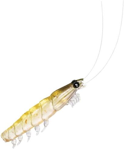 Daiwa Real Okiami Worm Tough M in Saudi Arabia