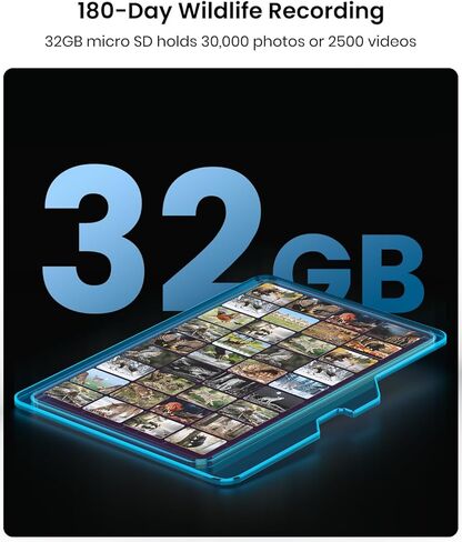 بطاقة Misstech Micro SD بسعة 32 جيجابايت، متوافقة مع كاميرات Trail، فئة السرعة 10 وU1 مثالية لتسجيل وعرض مقاطع الفيديو عالية الدقة (FHD) in Kuwait