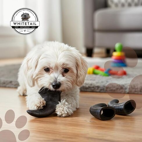 WhiteTail Naturals - Water Buffalo Horns for Dogs (2 Pack Large) All-Natural Buffalo Horn Dog Bone - Long Lasting Chew Toy for Aggressive Chewers and Teething Puppies in Kuwait